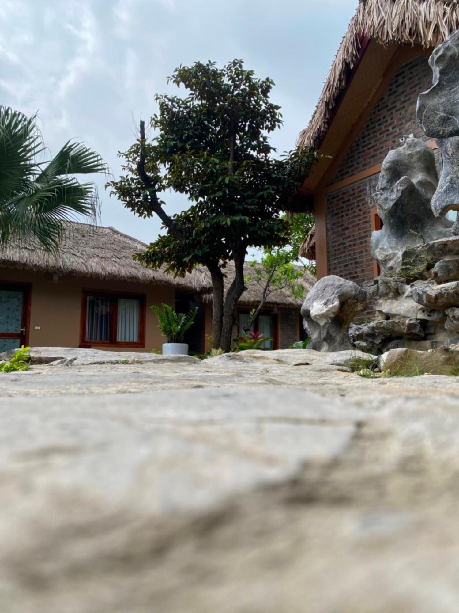 Lemon Tree Homestay Tam Coc Ninh Binh Exterior foto