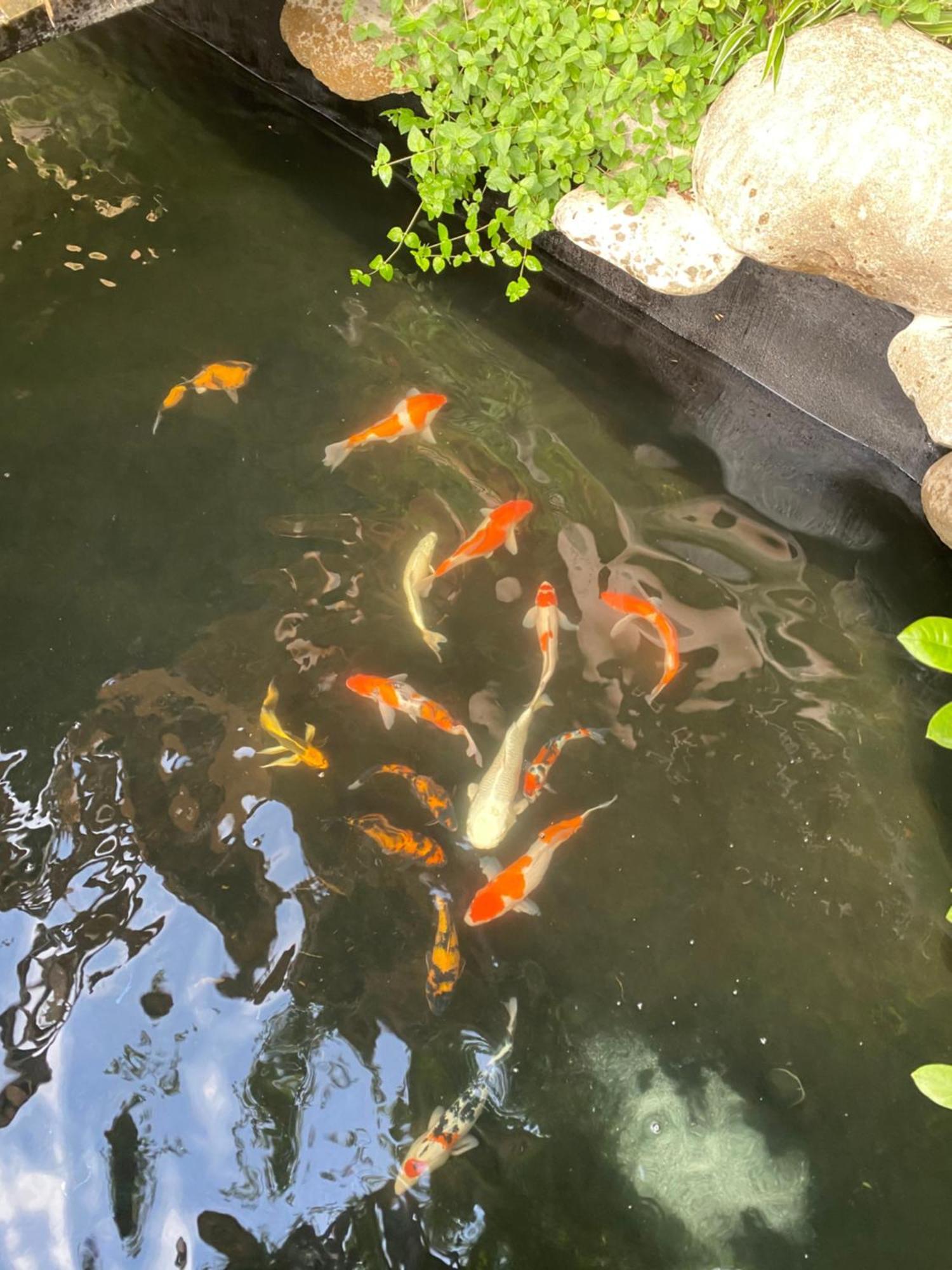 Lemon Tree Homestay Tam Coc Ninh Binh Exterior foto